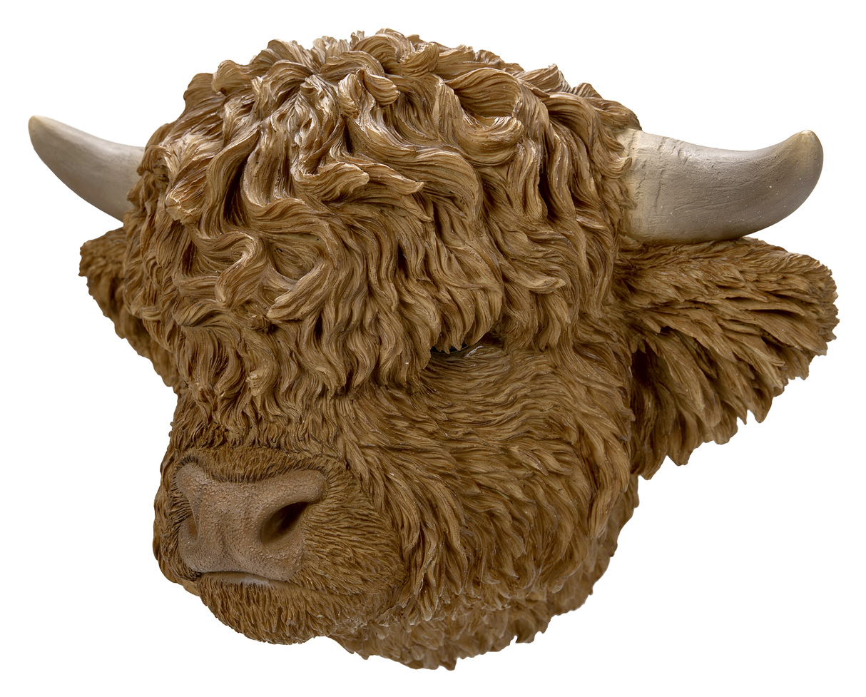 Highland Cattle Wall Planter by Vivid Arts