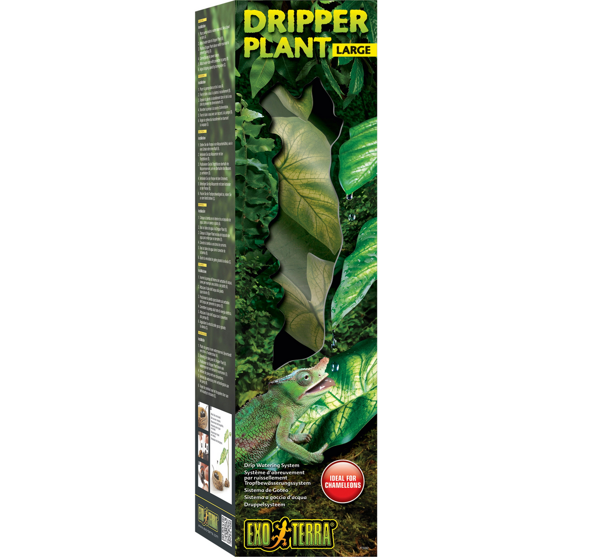 Dripping Plant L