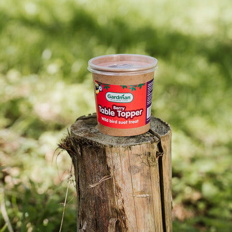 Gardman Berry Table Topper 450g – High-Energy Bird Treat