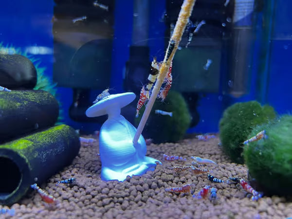 Gioia Thinker Submersed – White Aquarium Decoration