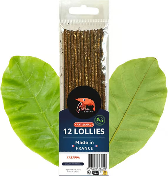 Gioia Shrimp Lollies Organic Catappa - 12 Lollies