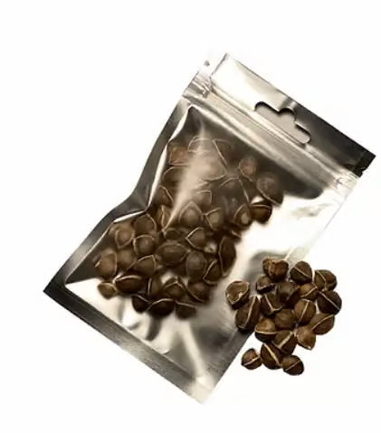 Gioia Shrimp Moringa Seeds x 50