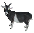 Goat Real Life Resin Ornament by Vivid Arts Vivid Arts