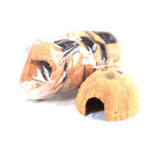 Half Coconut Hide by Buzzard Reptile Buzzard Reptile