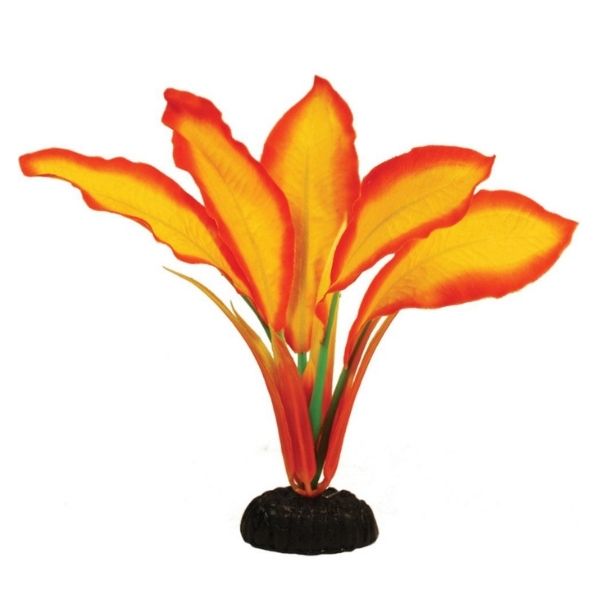 HUGO CORYMBOSA SUNSET SILK AQUARIUM PLANT 30CM ALF Ltd