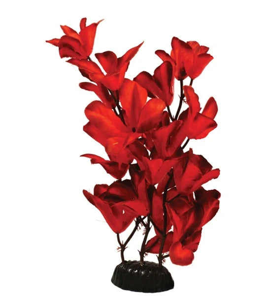 HUGO GLANDULOSA RED SILK AQUARIUM PLANT DECOR 30CM ALF Ltd