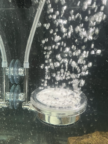 Large Air Diffuser with Treatment Holder – Aquarium Accessory