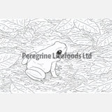 Exotics Keeper The Colouring Book of Amphibians Peregrine Livefoods Ltd