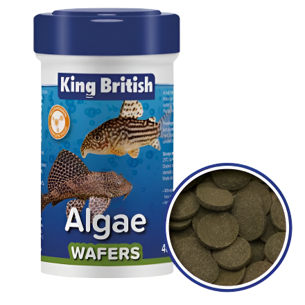 King British Algae Wafers 200g