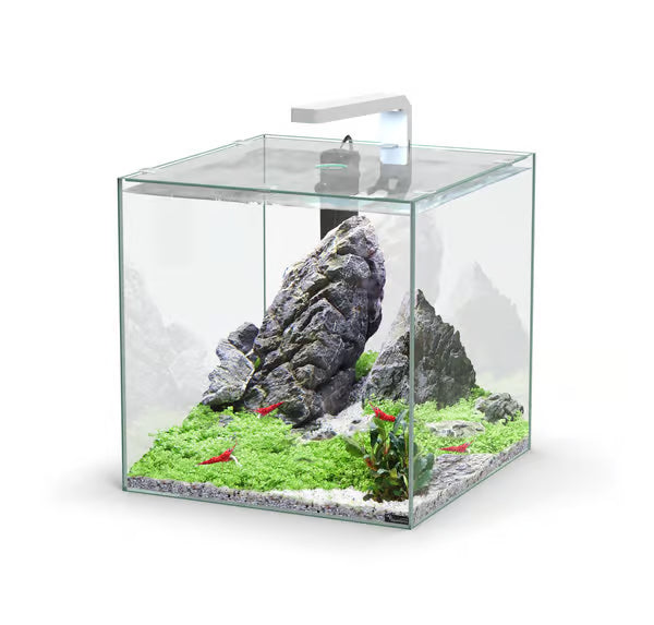 Kubus 33L Aquarium Black