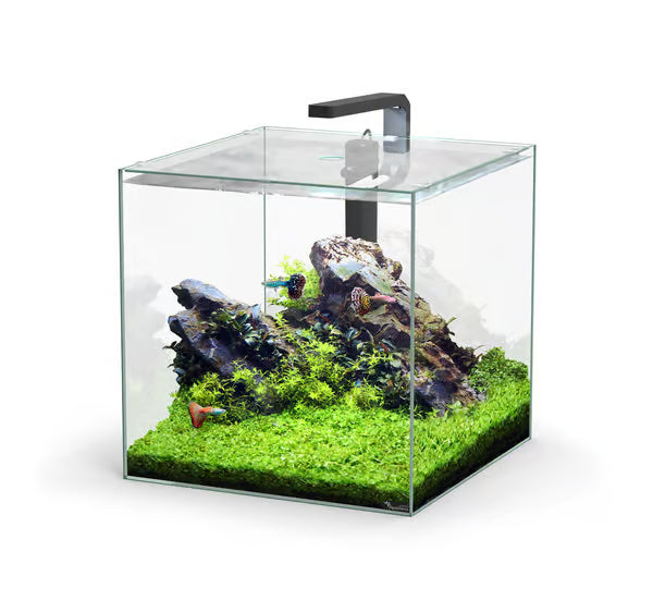 Kubus 54L Aquarium Black