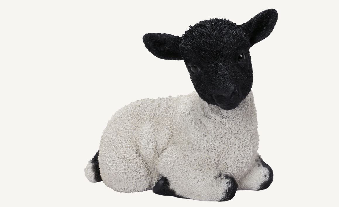 Real Life Sitting Black Face Lamb Ornament Size D by Vivid Arts