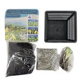 Purifying Water Plant Kit