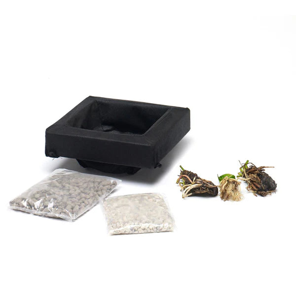Floating Water Plant Kit