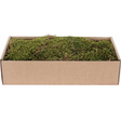 My Village Dried Flat Moss (500 g) – Natural Green-Brown Sheet Moss for Christmas Villages & Model Scenery Ground Cover | MYD73 Mill Race Garden Centre