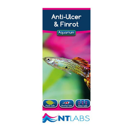 NT Labs Anti-Ulcer & Finrot Aquarium Treatment 100ml – Broad-Spectrum Nt Labs