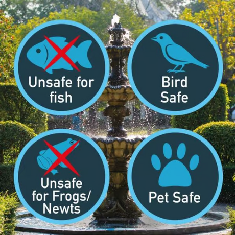 NT Labs Fountain Shine 500g – Water Feature Cleaner