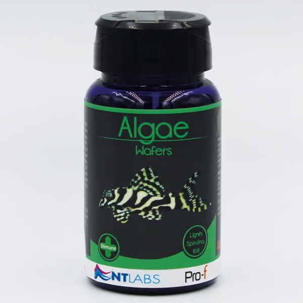 NT Labs Pro-f Algae Wafers 40g