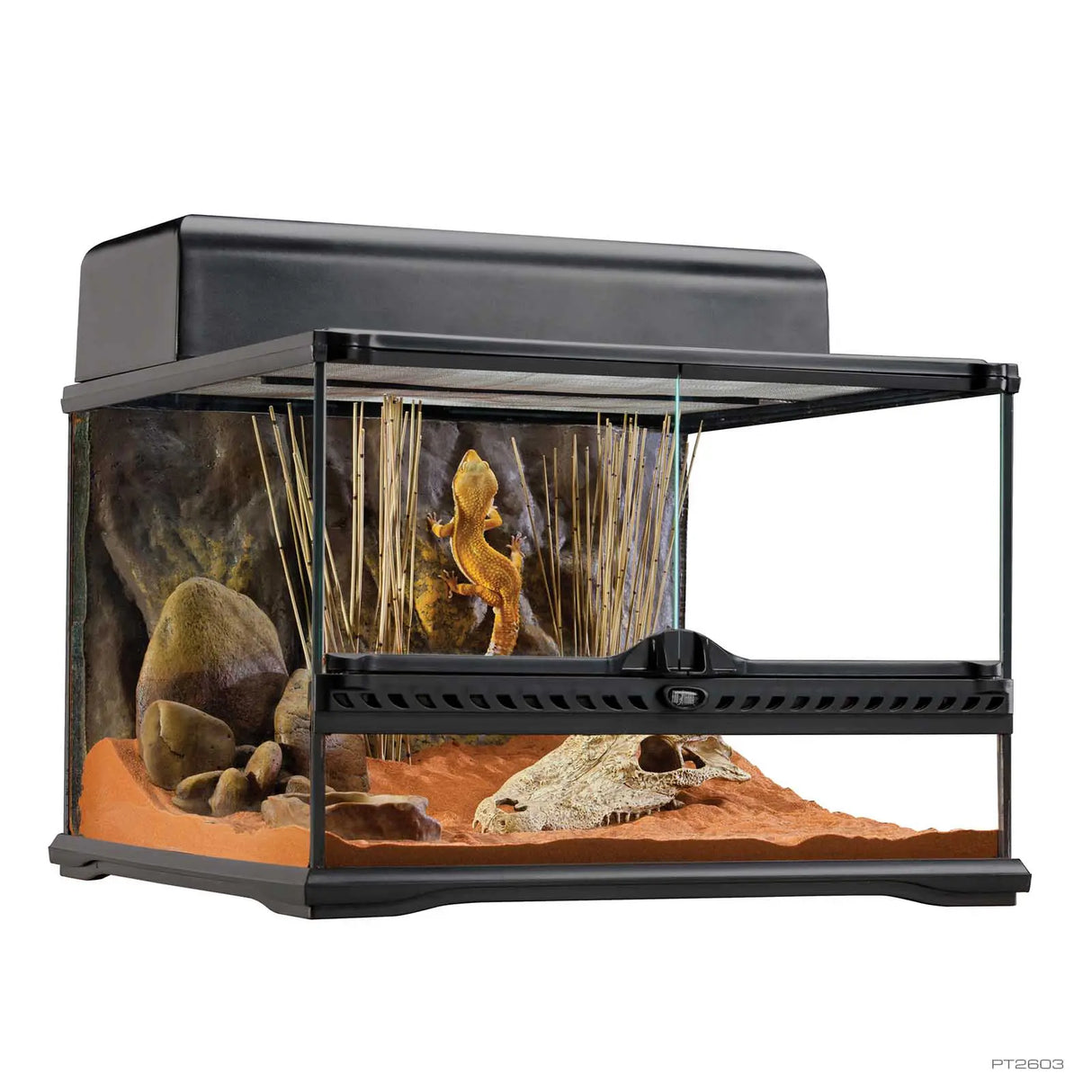 Exo Terra Natural Terrarium Small