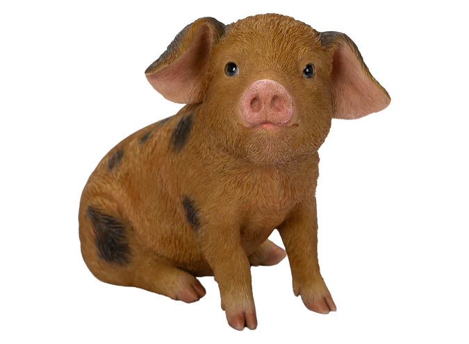 Oxford Sandy & Black Piglet Real Life Resin Ornament By Vivid Arts