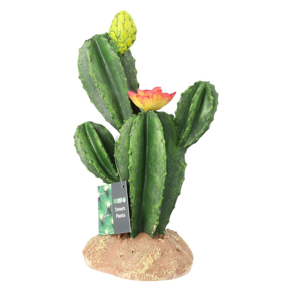 ProRep Flowering Cactus for Reptiles Medium 16.5x10.5x22.5cm