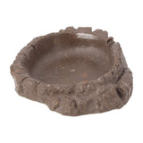 ProRep Terrarium Bowl Wood Small Peregrine Livefoods Ltd