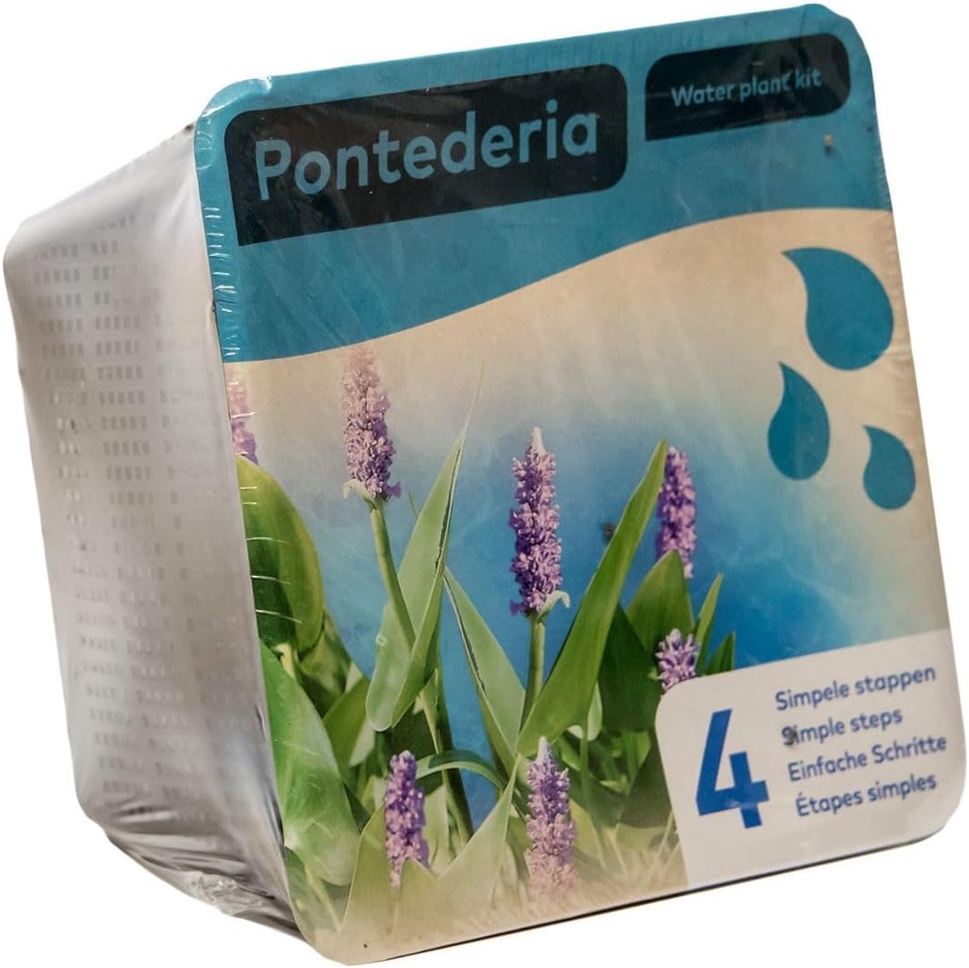 Pontederia Water Plant Kit