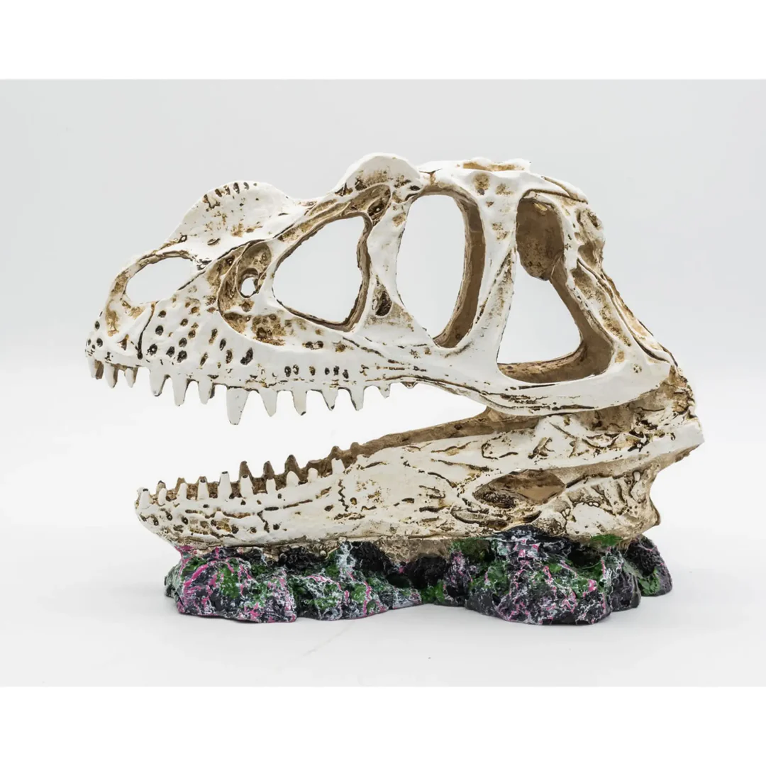 ProRep Ceratosuarus Skull 19x9x14cm