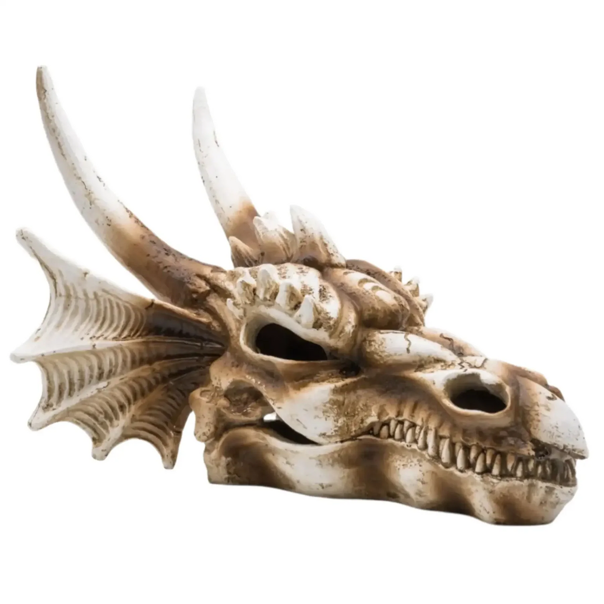 ProRep Dragon Skull Med 19.5x14.8x13.5cm