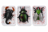 Spooky Halloween Insect Toy Decoration – Assorted Creepy-Crawlies (Sold Individually) Pms International Group Plc
