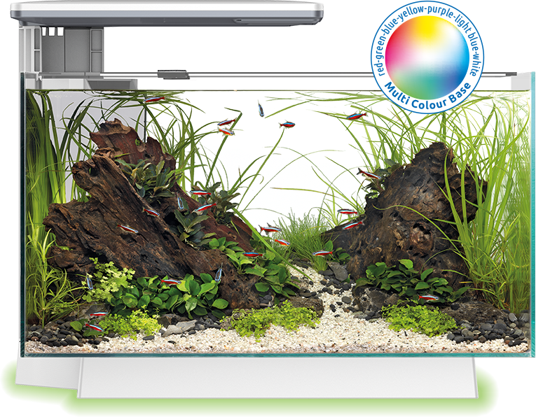 Superfish Quadro 70 Multi Colour Light Aquarium - White