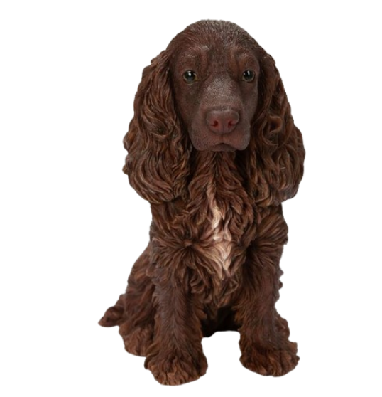 Real Life Chocolate Brown Cocker Spaniel Size D by Vivid Arts