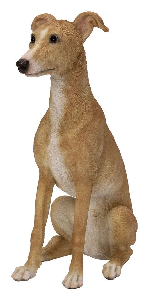 Real Life Fawn and White Whippet Dog Ornament Size D by Vivid Arts