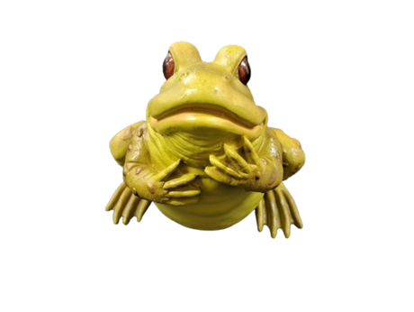 Reptile Décor Frog Anhui Hefei Hongjia Co Ltd