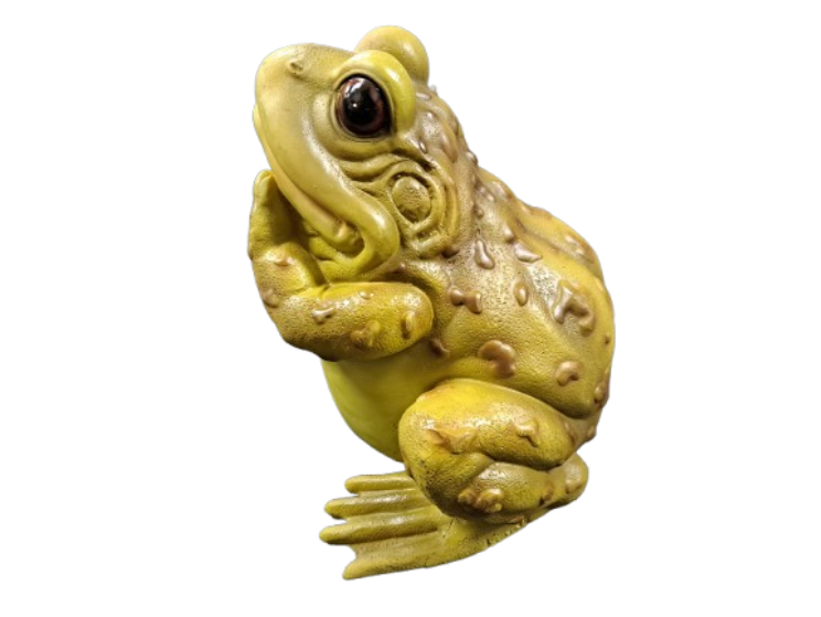 Reptile Décor Frog
