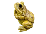 Reptile Décor Frog