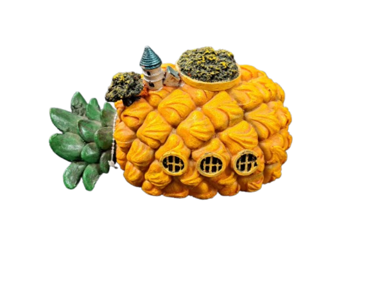 Reptile Décor Pineapple House