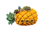 Reptile Décor Pineapple House