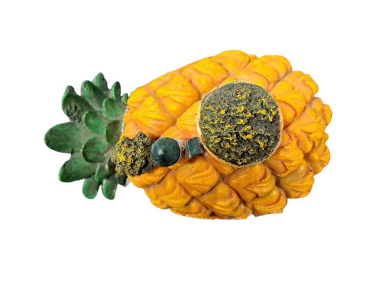 Reptile Décor Pineapple House
