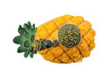 Reptile Décor Pineapple House