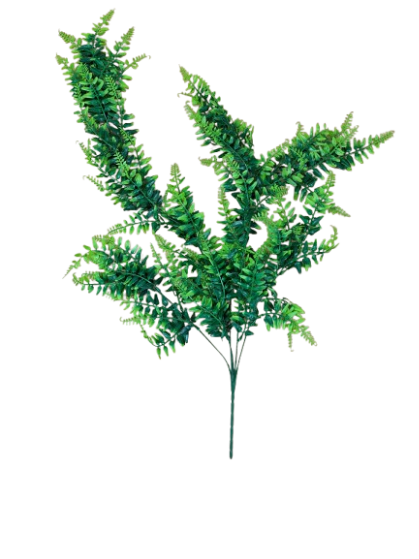 Reptile Décor Plant Boston Fern
