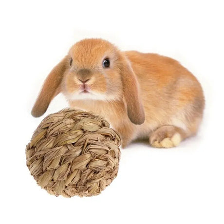 Rosewood 10cm Natural Ball and Bell Small Animal Toy Sky Pets