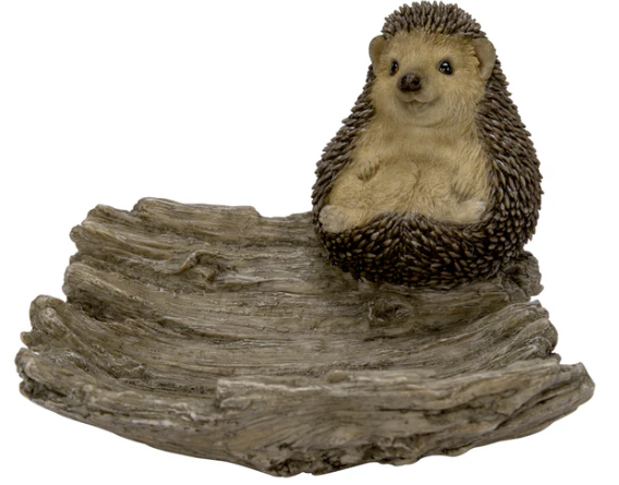 Hedgehog on Driftwood F by Vivid Arts