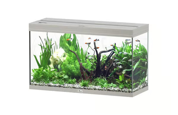 Splendid 100 Stainless Steel + External Filtration Aquarium