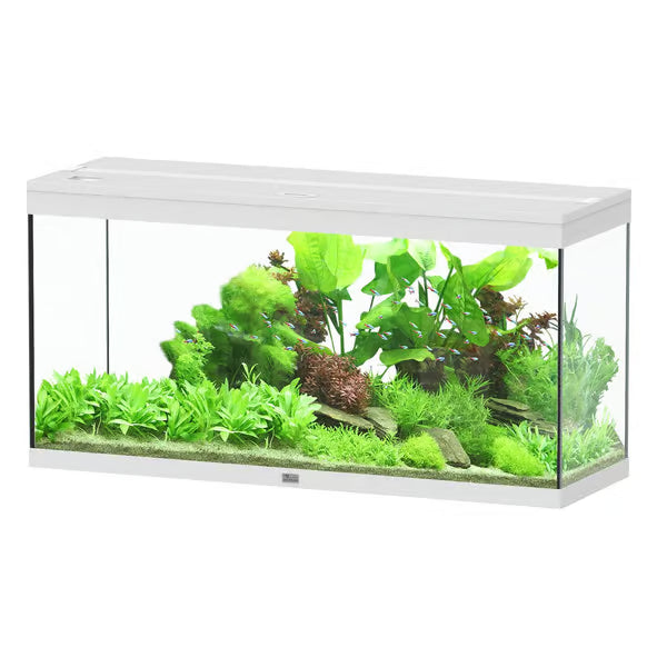 Aquatlantis Splendid 120 White + External Norwood Aquarium Ltd