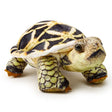 Zappi Star Tortoise Plush Buzzard Reptile