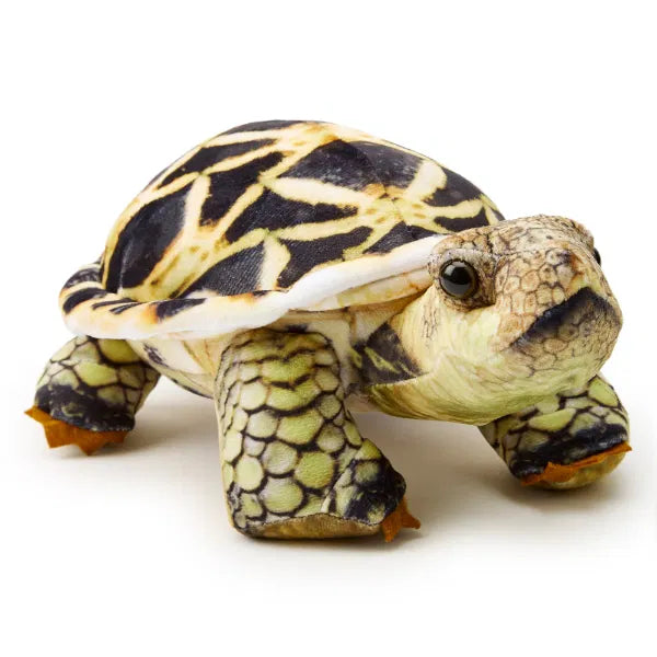 Zappi Star Tortoise Plush Buzzard Reptile