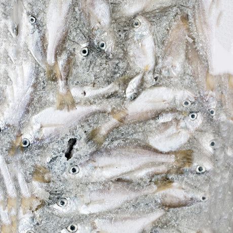 BCUK Whole Small Fish 100g Frozen Fish Food