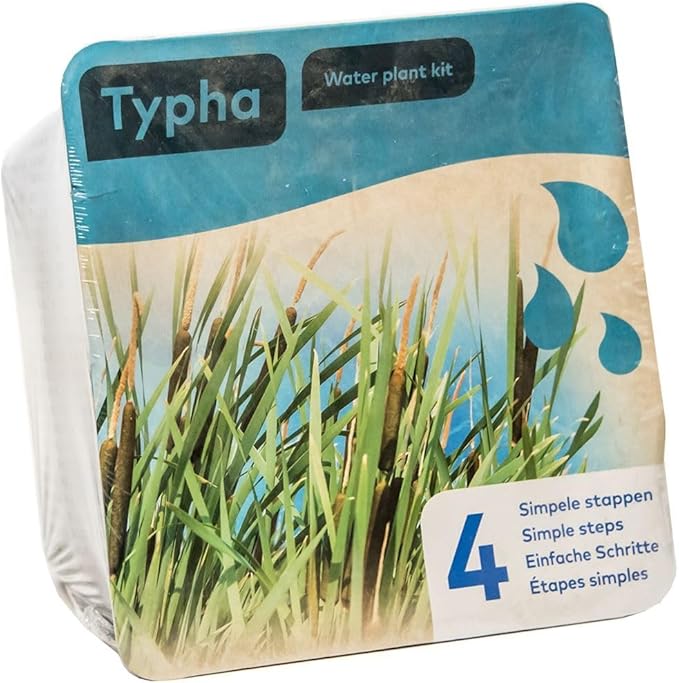 Typha Water Plant Kit