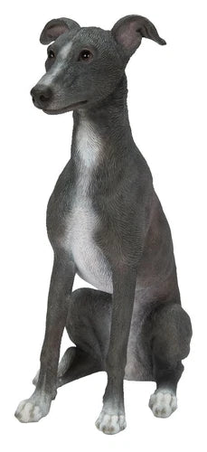 Vivid Arts Real Life Blue and White Whippet Resin Ornament
